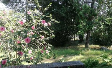 Casa 6 amb con dependencia de servicio Lote 2300m2 - Sargento Farina 3100