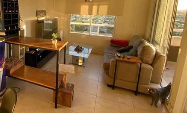 Departamento - San Miguel