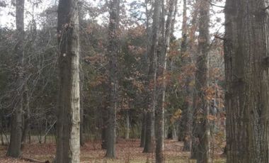 Lote En Venta Loma Verde