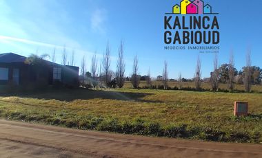 Lote en venta de 600m2 ubicado en Villa Elisa