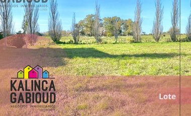 Lote en venta de 600m2 ubicado en Villa Elisa