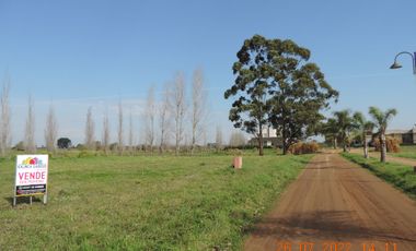 Lote en venta de 600m2 ubicado en Villa Elisa