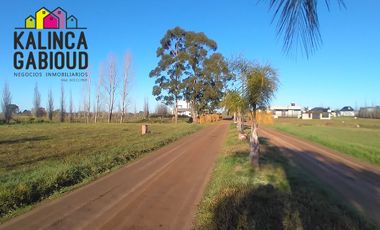 Lote en venta de 600m2 ubicado en Villa Elisa