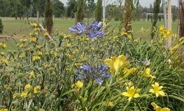 Venta Canning - San Vicente Lote en esquina de 997 M2 Santa Rita Club de Campo