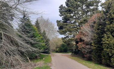 LOTE EN VENTA EN SIERRA DE LOS PADRES