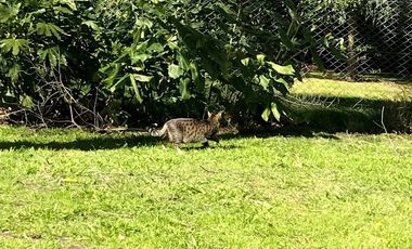 CHALET EN VENTA EN SIERRA DE LOS PADRES - BAJO SU VALOR!!!