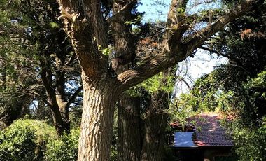 CHALET EN VENTA EN SIERRA DE LOS PADRES - BAJO SU VALOR!!!