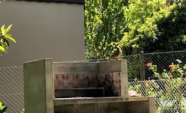 CHALET EN VENTA EN SIERRA DE LOS PADRES - BAJO SU VALOR!!!