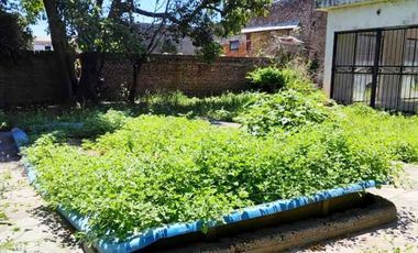 Casa a refaccionar - Baradero
