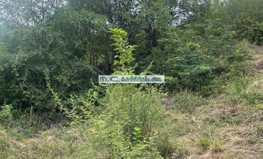 LE159. LOTE EN TALA HUASI. 2700mt2