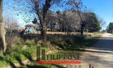 Terreno / Lote en venta de 300m2 Ciudad de Darregueira