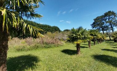 Casa quinta en venta de 11400m2 ubicado en Barrio Colinas Verdes de 1 hectáreaa.