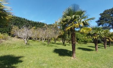 Casa quinta en venta de 11400m2 ubicado en Barrio Colinas Verdes de 1 hectáreaa.