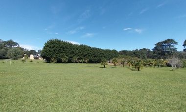 Casa quinta en venta de 11400m2 ubicado en Barrio Colinas Verdes de 1 hectáreaa.