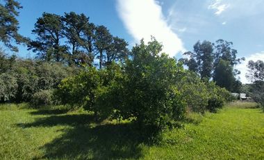 Casa quinta en venta de 11400m2 ubicado en Barrio Colinas Verdes de 1 hectáreaa.