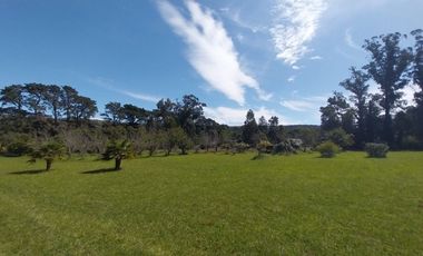 Casa quinta en venta de 11400m2 ubicado en Barrio Colinas Verdes de 1 hectáreaa.