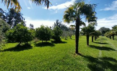 Casa quinta en venta de 11400m2 ubicado en Barrio Colinas Verdes de 1 hectáreaa.