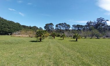 Casa quinta en venta de 11400m2 ubicado en Barrio Colinas Verdes de 1 hectáreaa.