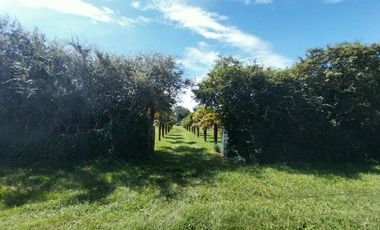 Casa quinta en venta de 11400m2 ubicado en Barrio Colinas Verdes de 1 hectáreaa.