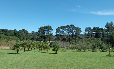 Casa quinta en venta de 11400m2 ubicado en Barrio Colinas Verdes de 1 hectáreaa.