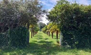 Casa quinta en venta de 11400m2 ubicado en Barrio Colinas Verdes de 1 hectáreaa.