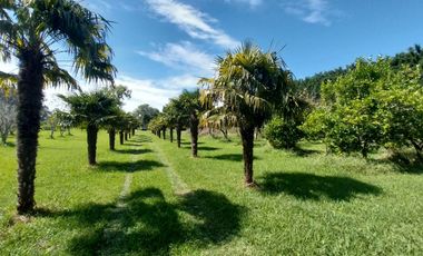 Casa quinta en venta de 11400m2 ubicado en Barrio Colinas Verdes de 1 hectáreaa.