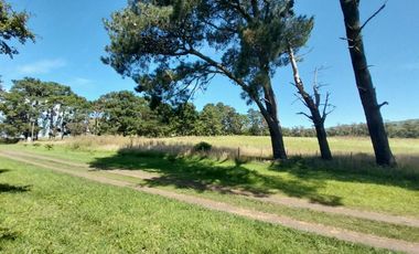 Casa quinta en venta de 11400m2 ubicado en Barrio Colinas Verdes de 1 hectáreaa.