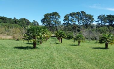 Casa quinta en venta de 11400m2 ubicado en Barrio Colinas Verdes de 1 hectáreaa.