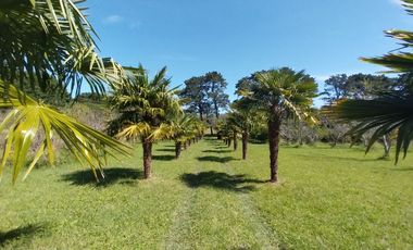 Casa quinta en venta de 11400m2 ubicado en Barrio Colinas Verdes de 1 hectáreaa.