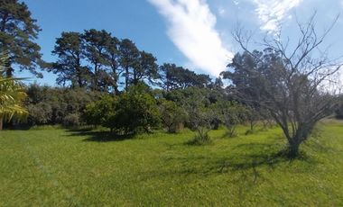 Casa quinta en venta de 11400m2 ubicado en Barrio Colinas Verdes de 1 hectáreaa.