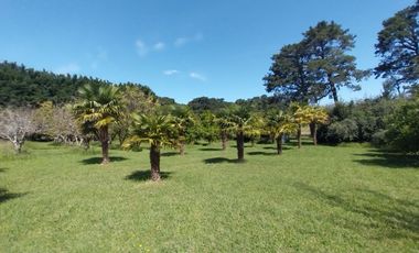 Casa quinta en venta de 11400m2 ubicado en Barrio Colinas Verdes de 1 hectáreaa.