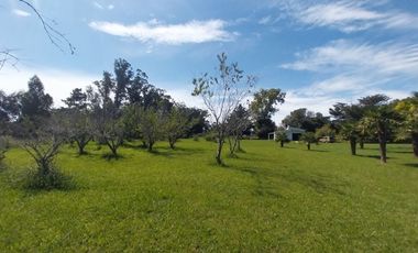 Casa quinta en venta de 11400m2 ubicado en Barrio Colinas Verdes de 1 hectáreaa.