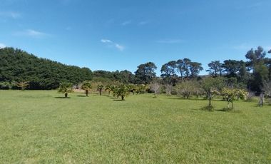 Casa quinta en venta de 11400m2 ubicado en Barrio Colinas Verdes de 1 hectáreaa.