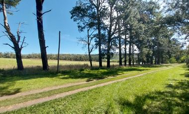 Casa quinta en venta de 11400m2 ubicado en Barrio Colinas Verdes de 1 hectáreaa.