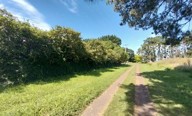 Casa quinta en venta de 11400m2 ubicado en Barrio Colinas Verdes de 1 hectáreaa.