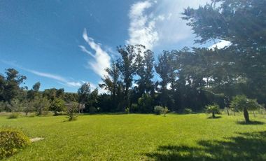 Casa quinta en venta de 11400m2 ubicado en Barrio Colinas Verdes de 1 hectáreaa.