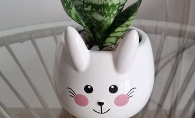 Venta monoambiente en Palermo amoblado y equipado listo para mudarse