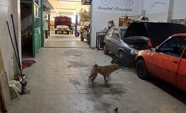 VENTA-GALPON INDUSTRIAL 545m2 CUB 3 PLANTAS-TZA-PARQUE CHACABUCO