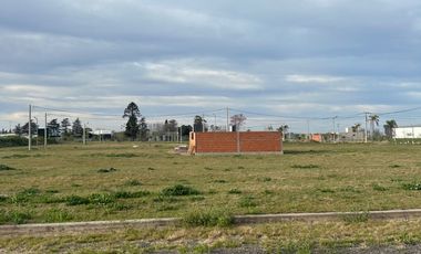 Lote Barrio Belvedere