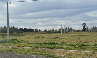 Lote Barrio Belvedere