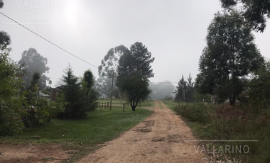 Dúplex con pileta y quincho, Colón.