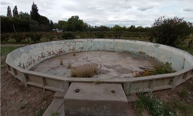 Interesante Finca En Venta con hermosa casa-San Rafael Mendoza - Colonia Elena