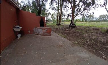 Interesante Finca En Venta con hermosa casa-San Rafael Mendoza - Colonia Elena