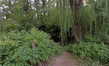 Interesante Finca En Venta con hermosa casa-San Rafael Mendoza - Colonia Elena