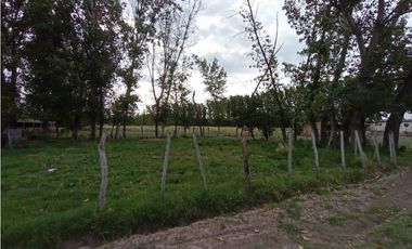 Interesante Finca En Venta con hermosa casa-San Rafael Mendoza - Colonia Elena