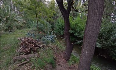 Interesante Finca En Venta con hermosa casa-San Rafael Mendoza - Colonia Elena