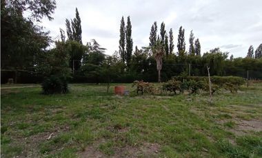 Interesante Finca En Venta con hermosa casa-San Rafael Mendoza - Colonia Elena