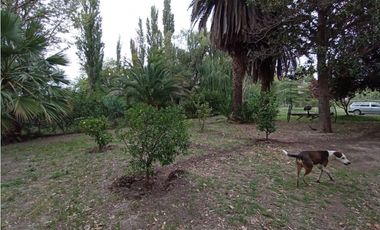 Interesante Finca En Venta con hermosa casa-San Rafael Mendoza - Colonia Elena
