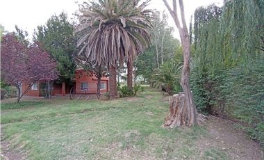 Interesante Finca En Venta con hermosa casa-San Rafael Mendoza - Colonia Elena