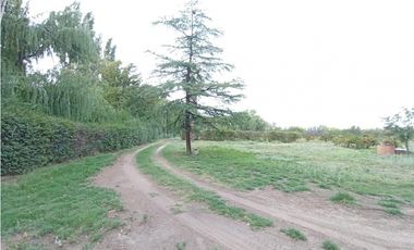 Interesante Finca En Venta con hermosa casa-San Rafael Mendoza - Colonia Elena